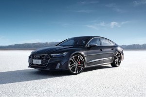 中国人保携手杭州元通奥通汽车购车嘉年华