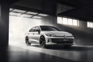 中国人保携手杭州元麦汽车购车嘉年华