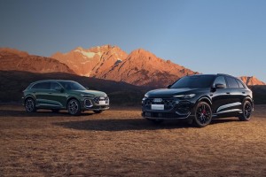 中国人保携手杭州正大二手车汽车团购会