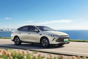 中国人保携手杭州比亚迪盛世新景汽车购车嘉年华