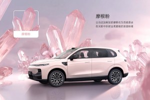 中国人保携手杭州零跑汽车购车嘉年华